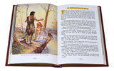 Burgundy New Catholic Picture Bible
