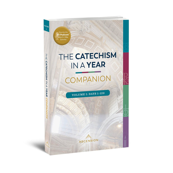 The Catechism In A Year Companion