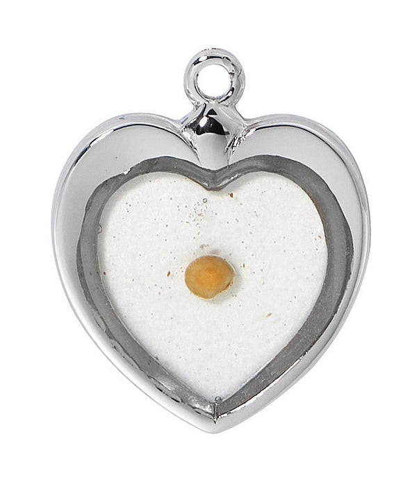 SS Heart Shaped Mustard Seed Necklace 18 Inch Chain